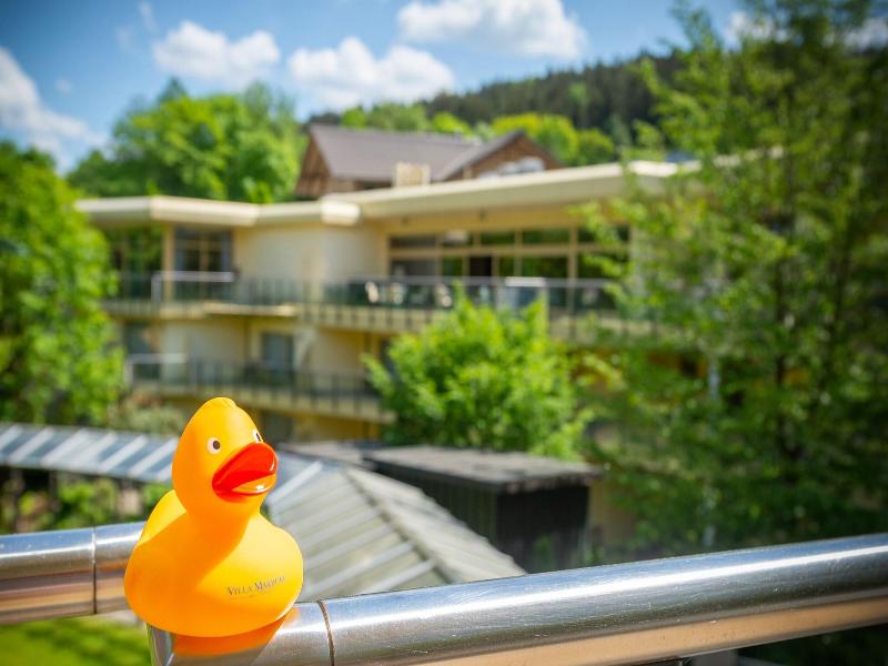 Villa Marburg im Park - Teras