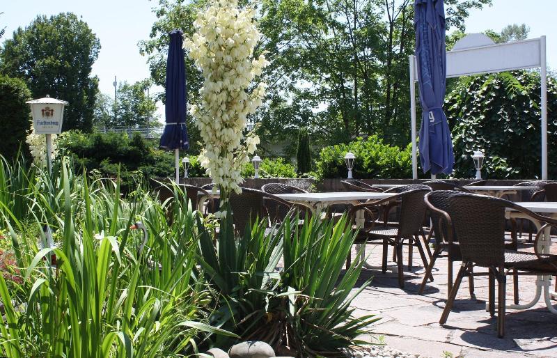 Hotel Restaurant Waldhorn - Teras