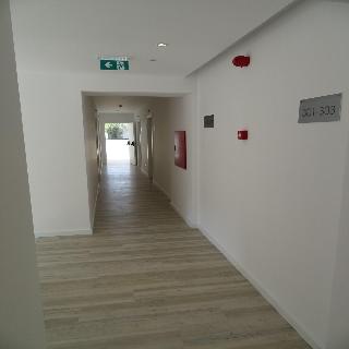 Alcaide fotoÄŸrafÄ±