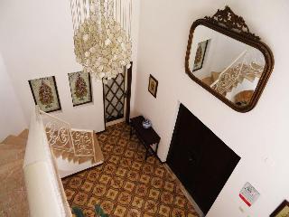 Alcaide fotoÄŸrafÄ±