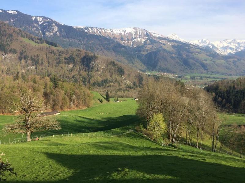 Hotel de Gruyères - Aktivite