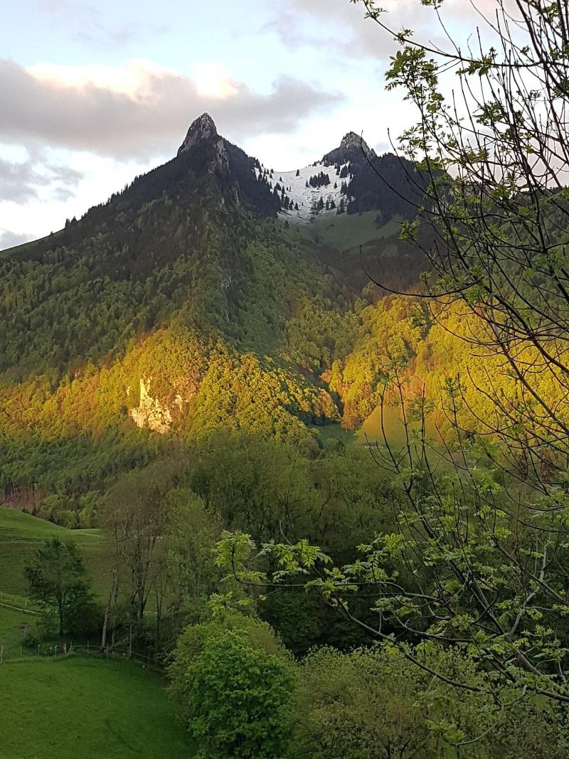 Hotel de Gruyères - Oda