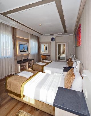 Bulvar Palas & Spa Old City Hotel İstanbul fotoÄŸrafÄ±