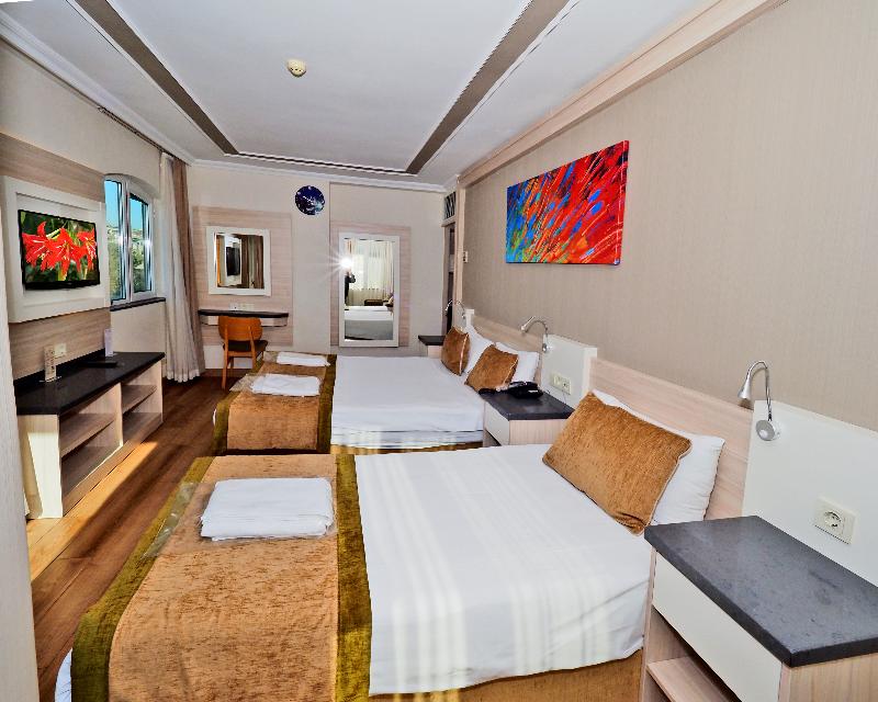 Bulvar Palas & Spa Old City Hotel İstanbul - Oda