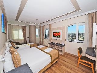 Bulvar Palas & Spa Old City Hotel İstanbul fotoÄŸrafÄ±