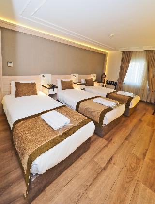 Bulvar Palas & Spa Old City Hotel İstanbul fotoÄŸrafÄ±