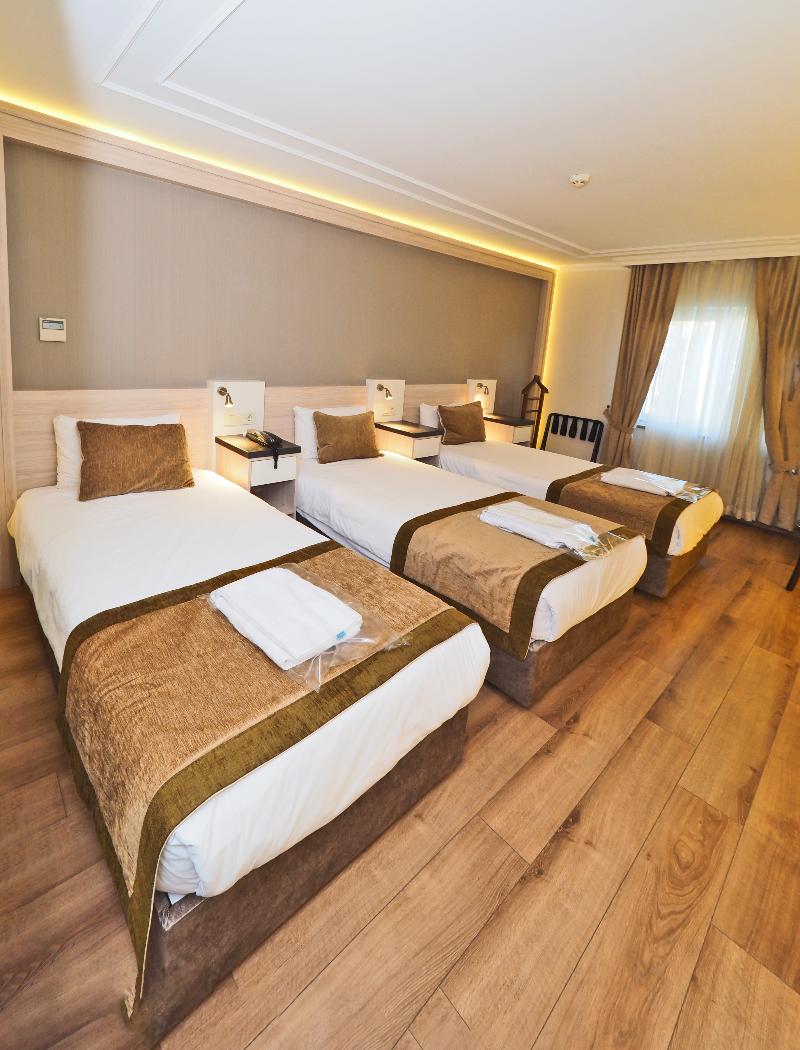 Bulvar Palas & Spa Old City Hotel İstanbul - Oda