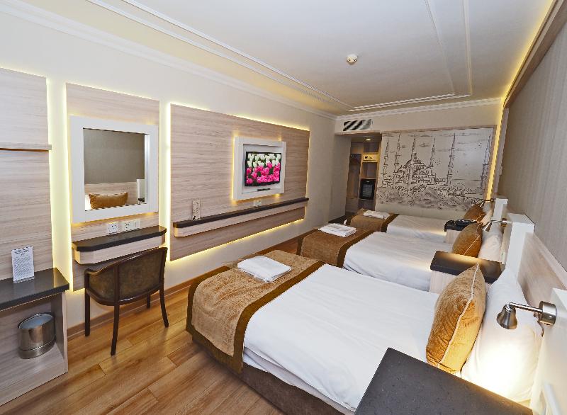 Bulvar Palas & Spa Old City Hotel İstanbul - Oda