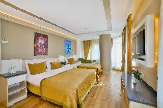 Bulvar Palas & Spa Old City Hotel İstanbul fotoÄŸrafÄ±