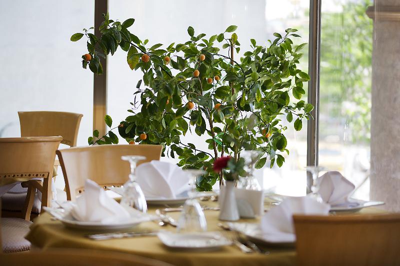 Bulvar Palas & Spa Old City Hotel İstanbul - Restoran