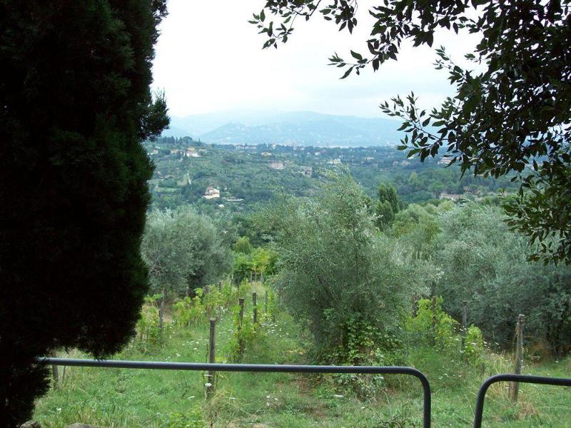 Fattoria Il Milione - Genel