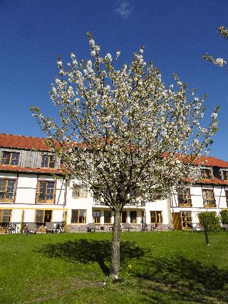 Robinson Fleesensee fotoÄŸrafÄ±