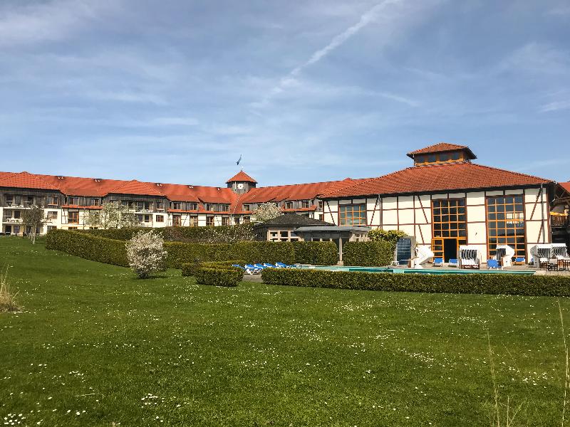 Robinson Fleesensee - Genel