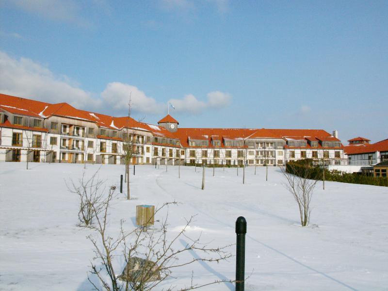 Robinson Fleesensee - Genel