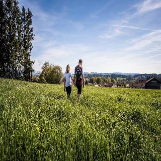 Gasthof zur Rose fotoÄŸrafÄ±