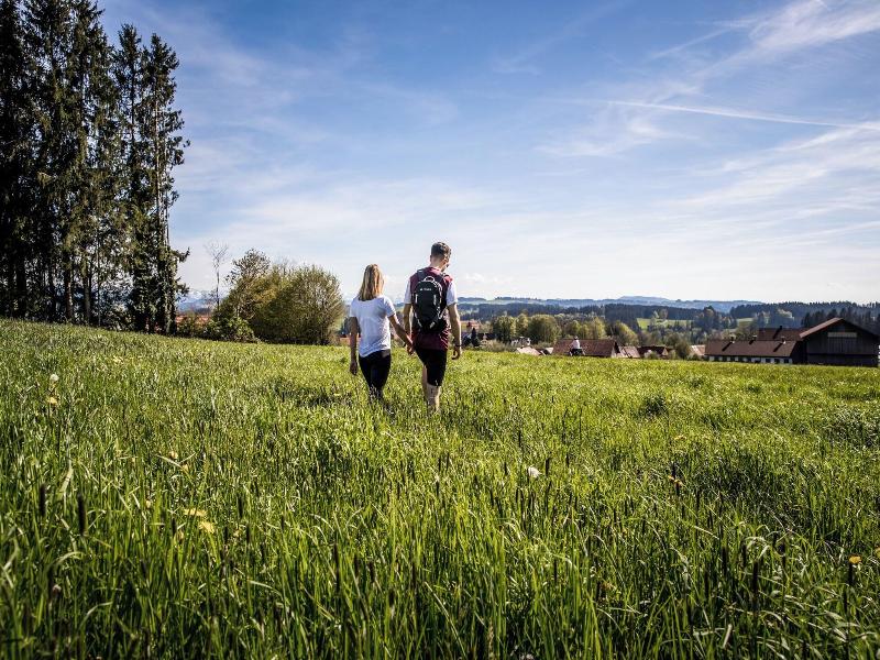 Gasthof zur Rose - Aktivite