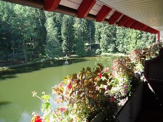Langenwaldsee fotoÄŸrafÄ±