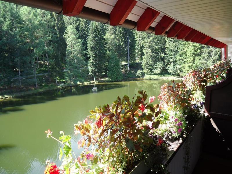 Langenwaldsee - Genel