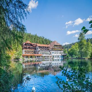 Langenwaldsee fotoÄŸrafÄ±