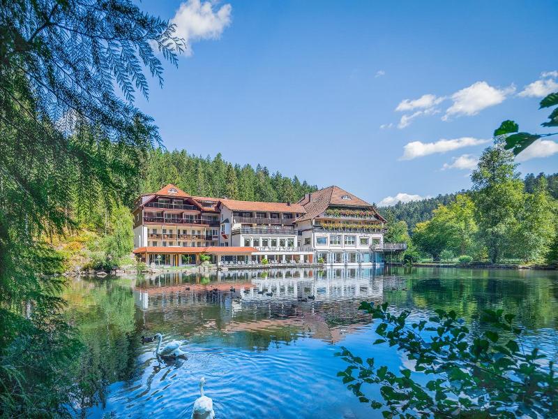 Langenwaldsee - Genel