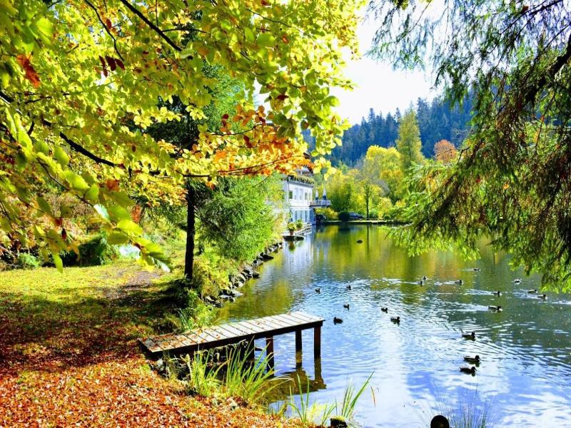 Langenwaldsee - Genel