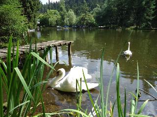 Langenwaldsee fotoÄŸrafÄ±