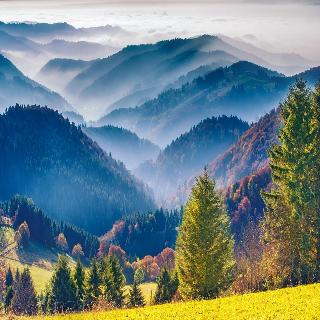 Langenwaldsee fotoÄŸrafÄ±