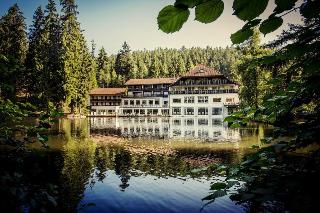 Langenwaldsee fotoÄŸrafÄ±