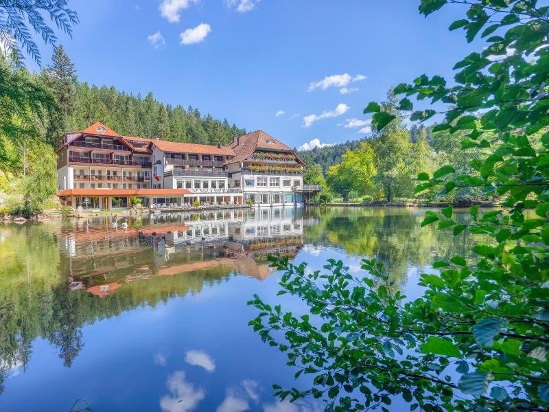 Langenwaldsee - Genel