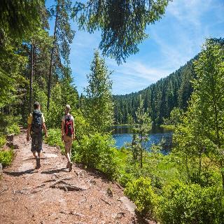 Langenwaldsee fotoÄŸrafÄ±