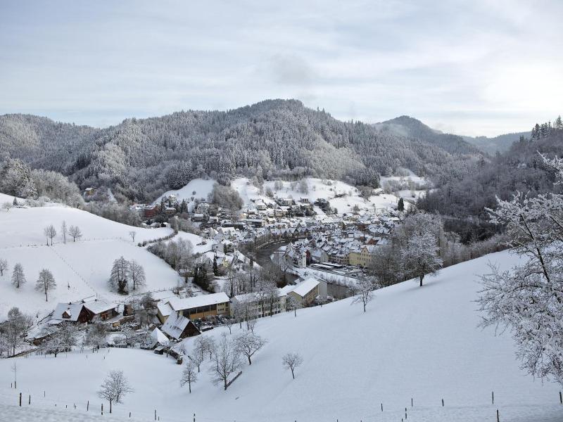 Kurgarten-Hotel - Genel