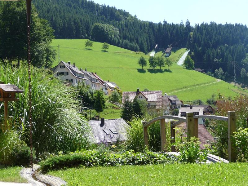 Flair Hotel Adlerbad - Genel