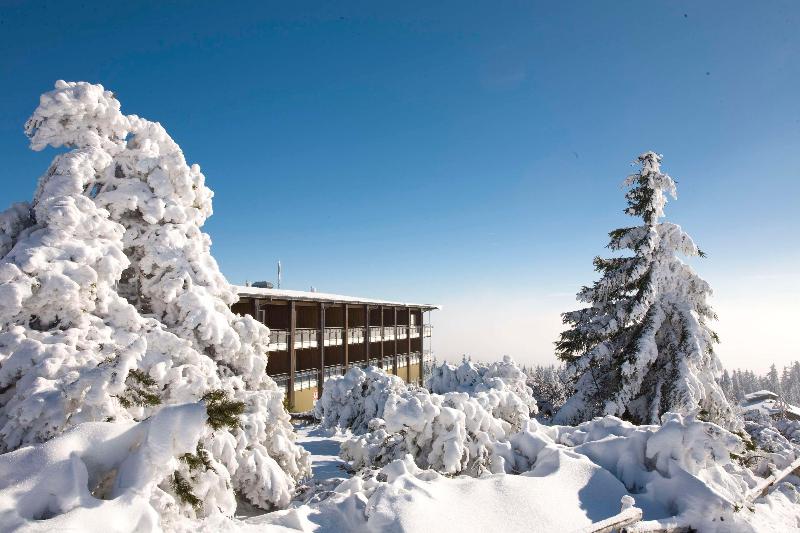 Wellness- & Nationalpark Hotel Schliffkopf BWSC - Genel
