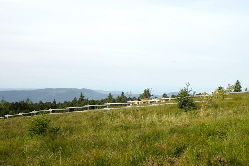Wellness- & Nationalpark Hotel Schliffkopf BWSC - Genel