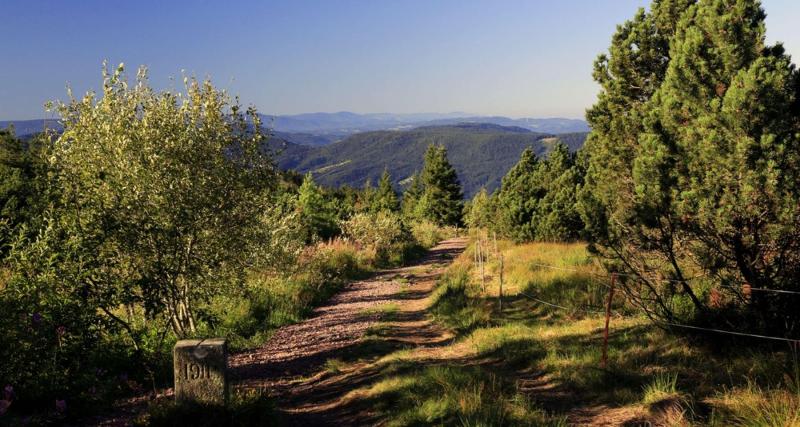 Wellness- & Nationalpark Hotel Schliffkopf BWSC - Genel