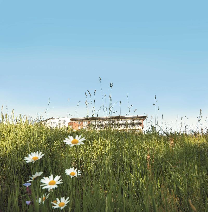 Wellness- & Nationalpark Hotel Schliffkopf BWSC - Genel