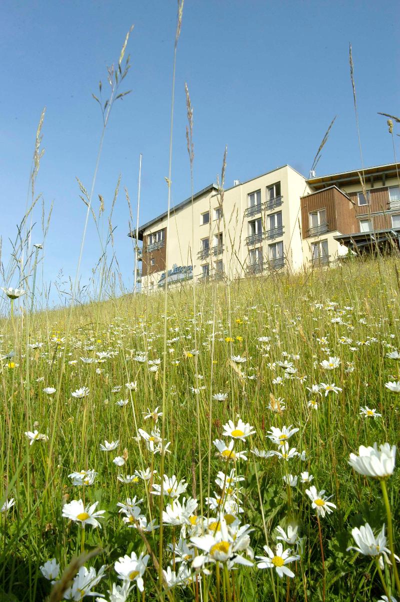 Wellness- & Nationalpark Hotel Schliffkopf BWSC - Genel