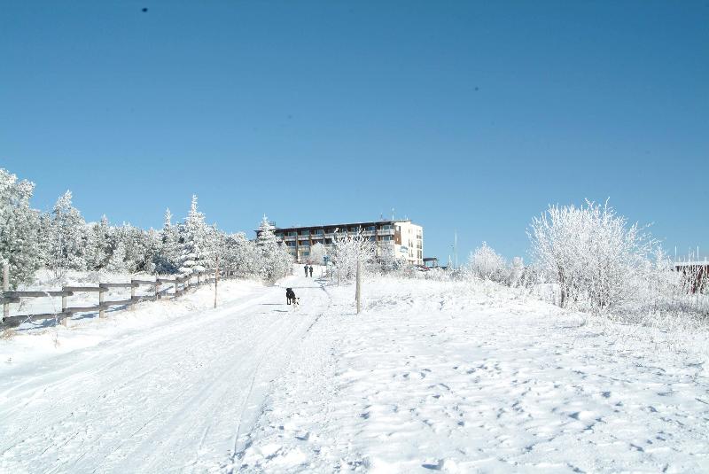 Wellness- & Nationalpark Hotel Schliffkopf BWSC - Genel