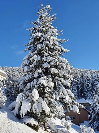 Sackmann Genuss & SPA Resort fotoÄŸrafÄ±