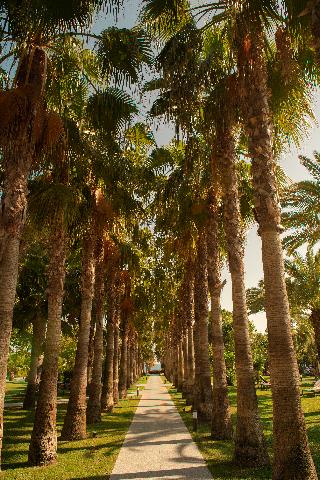 Miramare Beach fotoÄŸrafÄ±