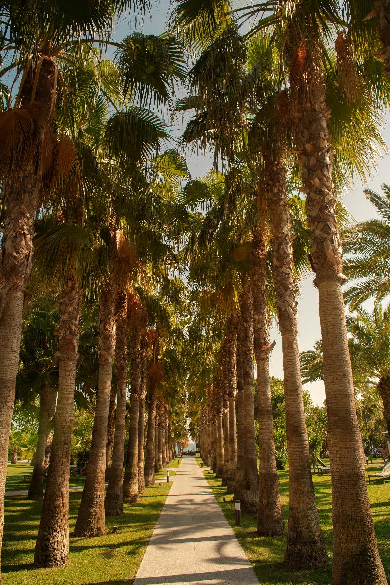 Miramare Beach - Genel