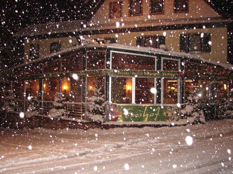 Hotel Restaurant Freihof - Genel