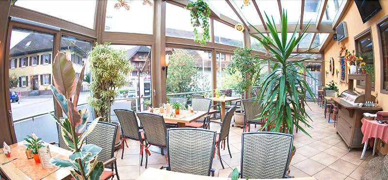 Hotel Restaurant Freihof - Teras