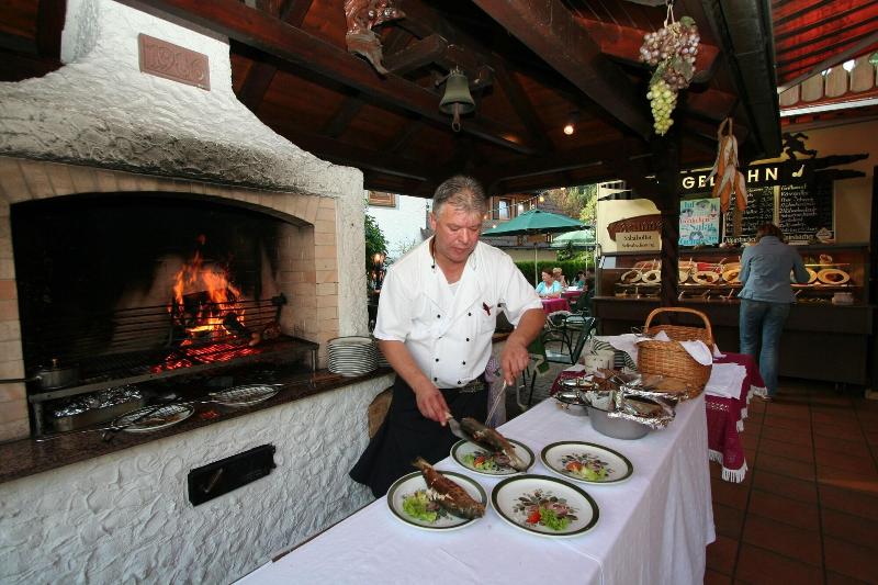 Hotel Restaurant Freihof - Teras