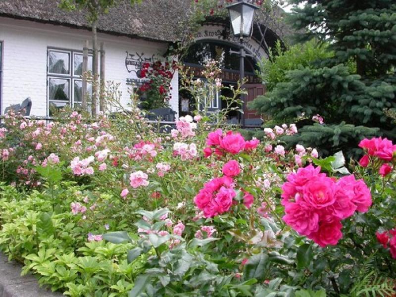 Romantik Hotel Historischer Krug - Teras
