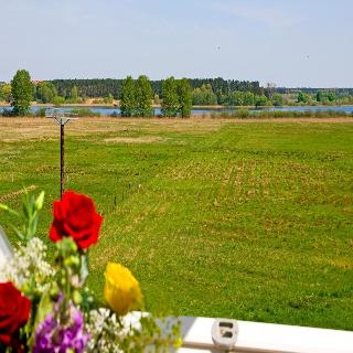 Am Müritz-Nationalpark fotoÄŸrafÄ±