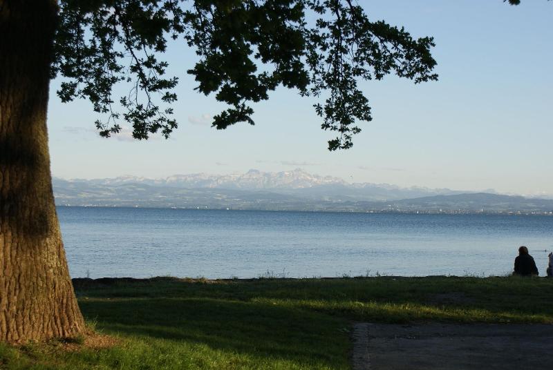 Maier - Genel