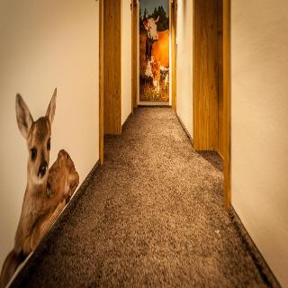 Kirnbacher Hof fotoÄŸrafÄ±