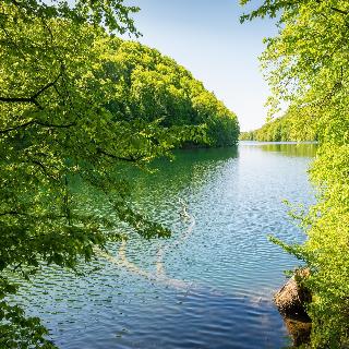 Kaiserhof Feldberg by Belvilla Resorts fotoÄŸrafÄ±