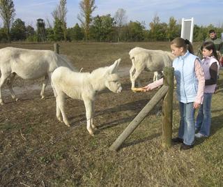 Vila Vita Pannonia fotoÄŸrafÄ±